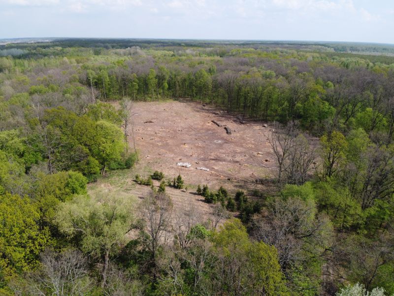 Large-Scale Land Clearing