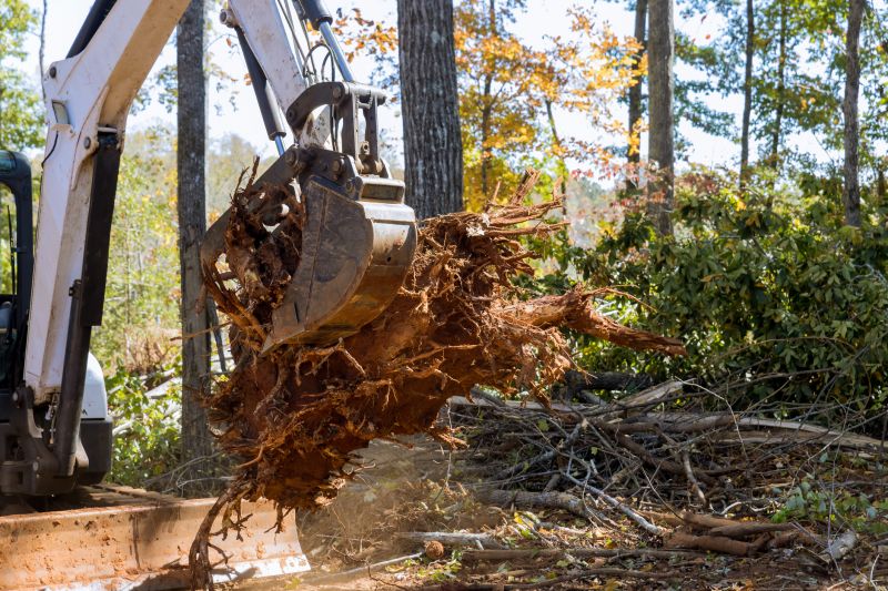 Land Clearing Services
